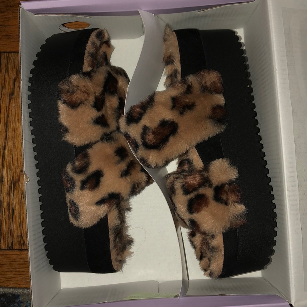I have too many slippers